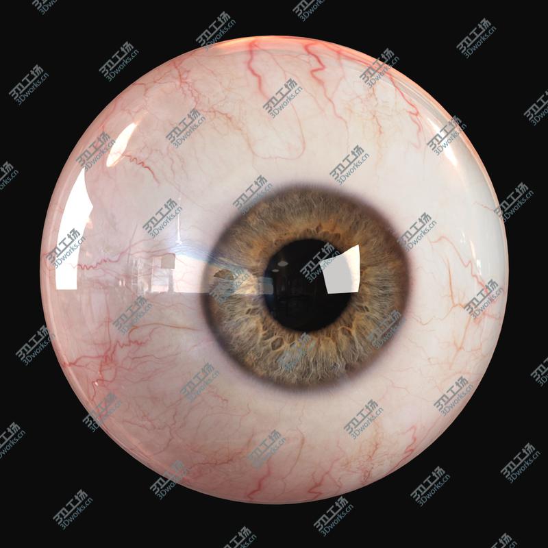 images/goods_img/20210313/Realistic Human Eye - Pro/5.jpg